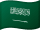 Arabic Flag
